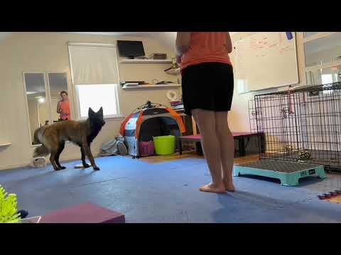 2021 0901 Dizzy Intermediate Tricks