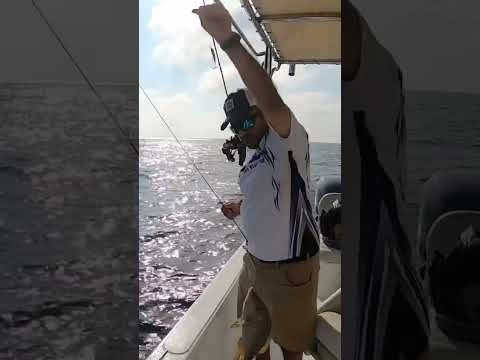 Jigging fishing - ultralight amazing action