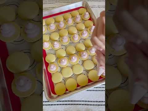 Lemon Raspberry Macarons #macaron #frenchmacarons #lemon #raspberry #filling #process #fyp #shorts