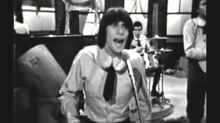 Young Rascals - I Ain&#39;t Gonna Eat Out My Heart Anymore (1966)
