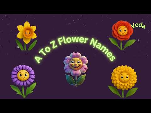 Let's learn some flowers names