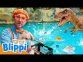 Blippi Dinosaur Play At A Water Park Blippi And Meekah Best Friend Adventures Educational Videos