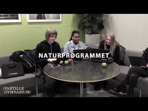 Partille Gymnasium läsåret 2019/2020 (60 s)