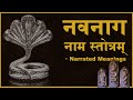 Nava Naga Nama Stotram - Guided Chant with Narrated Meanings