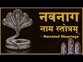 Nava Naga Nama Stotram Guided Chant With Narrated Meanings