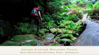 preview picture of video 'Grand Canyon Walking Track Australia'