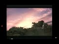Disney Dinosaur Opening Scene HD