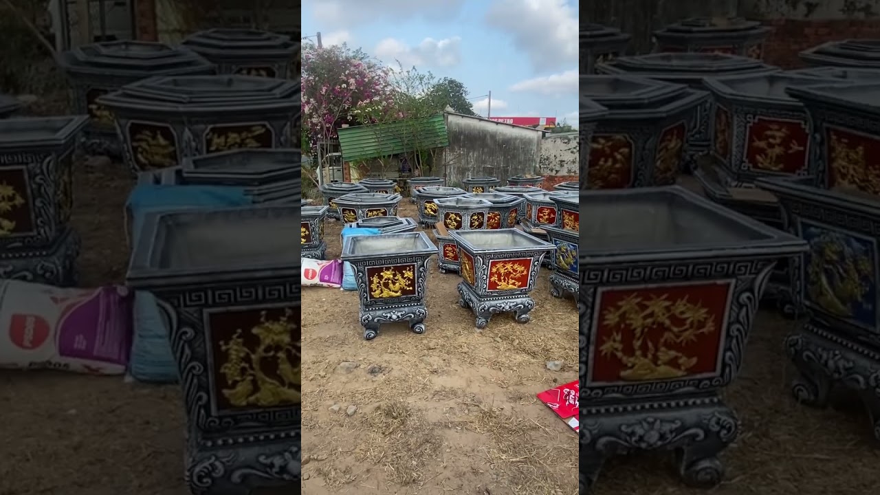 videoChậu kiểng Chuẩn nguyễn.