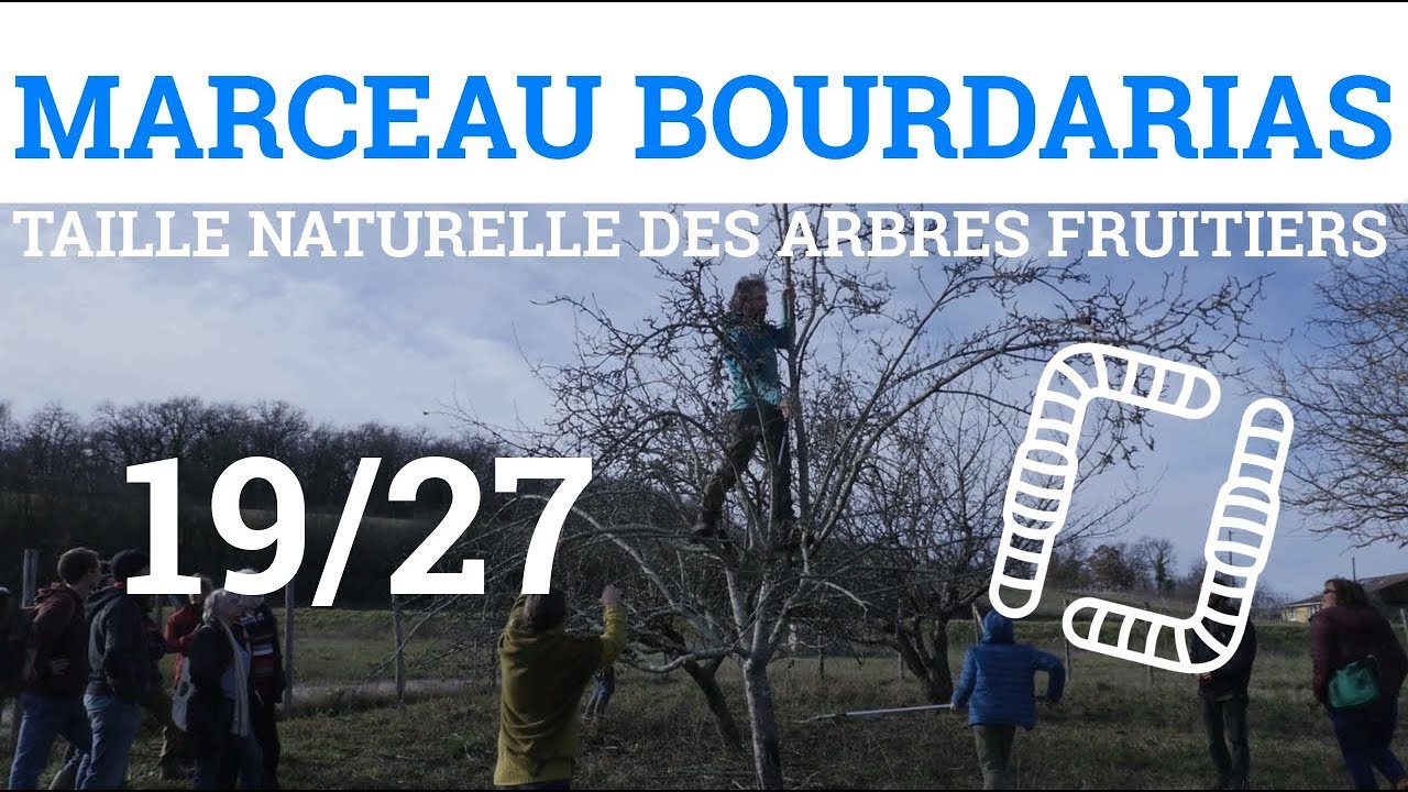 19/27 - M.BOURDARIAS - Taille Naturelle des Arbres Fruitiers - Diagramme d'une Année