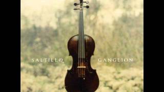Saltillo - Blood And Milk