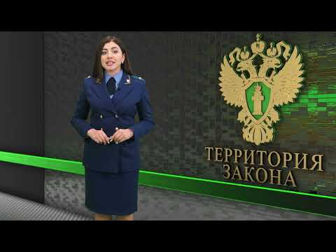Территория закона / 13.05.2024