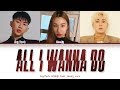 Jay Park – All I Wanna Do (Korean Version) feat. Hoody & Loco (Color Coded Lyrics Han/Rom/Eng/가사)