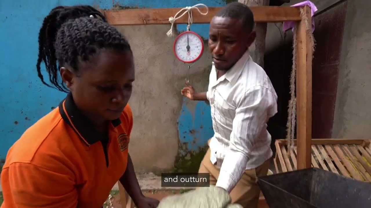 Mt Rwenzori - Coffee with Purpose, Grown by Change-Makers