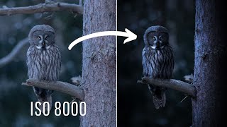 How I edited THIS photo using Photoshop - Step by Step Tutorial