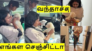 Our Baby is coming home 1st time ~4hours travel with our LITTLE Puppy to our house~ Family Traveler
