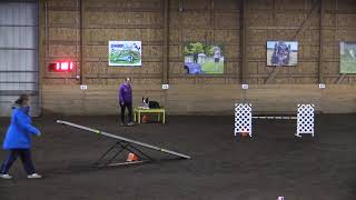 Felix Starters Standard USDAA JAN 2020