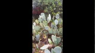 Savin&#39; For A Rainy Day