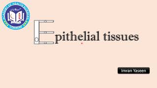 Download Lagu Epithelial tissues -Histology - by Imran Yaseen Thumbnail