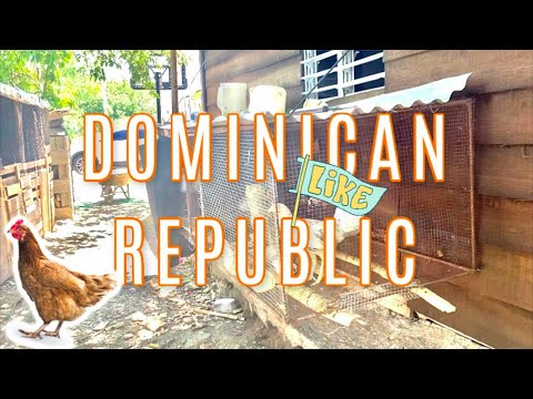 ANOTHER DOMINICAN REPUBLIC VLOG | don't know how you guys arn't sick and tired of me