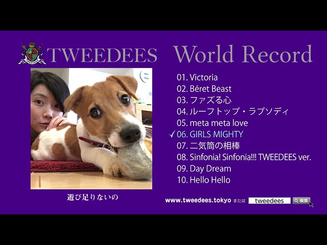 TWEEDEES 最新アルバム『World Record』の全曲ティザー映像を公開! バンドの公式レビューを書けるアンバサダー企画の発表も 3 YouTubeサムネイル