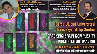 Cracking Brain Complexity Multiphoton Imaging