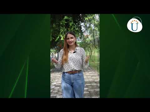 Zona Centro Sur - EL ARTE DE ESCRIBIR