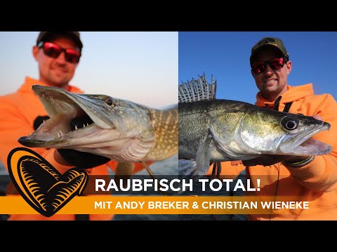 RAUBFISCH TOTAL! Savage Mission bei EXTREM-SONNE auf Hecht, Zander, Barsch & Co. I Savage Gear
