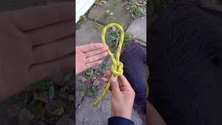 How to Tie Knot DIY at Home, Rope Trick You Should Know Tutorial #shorts EP782
