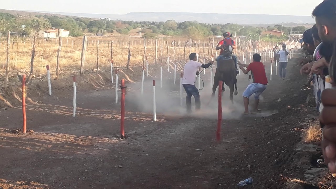 Corrida de cavalos em Juazeiro do Norte CE , Bolt vs Marta 🏇com a Vitória do cavalo Bolt🏇