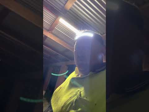 Walang Anuman ay Tanan, kadtong interesado sa gagmay nga mga butang, gikan sa usa ka hanas nga »