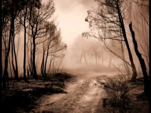 Incendio Vimbodi 24/06/2006 Autor: Manel Delgado