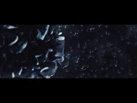 Robot Koch & Savannah Jo Lack - Light Through a Canvas (Official Music Video Trailer)