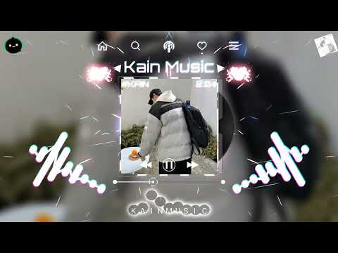 傻女 (抖音DJ版) - 陈慧娴「这夜我又再独对夜半 无人的空气」♪ || 抖音 TikTok