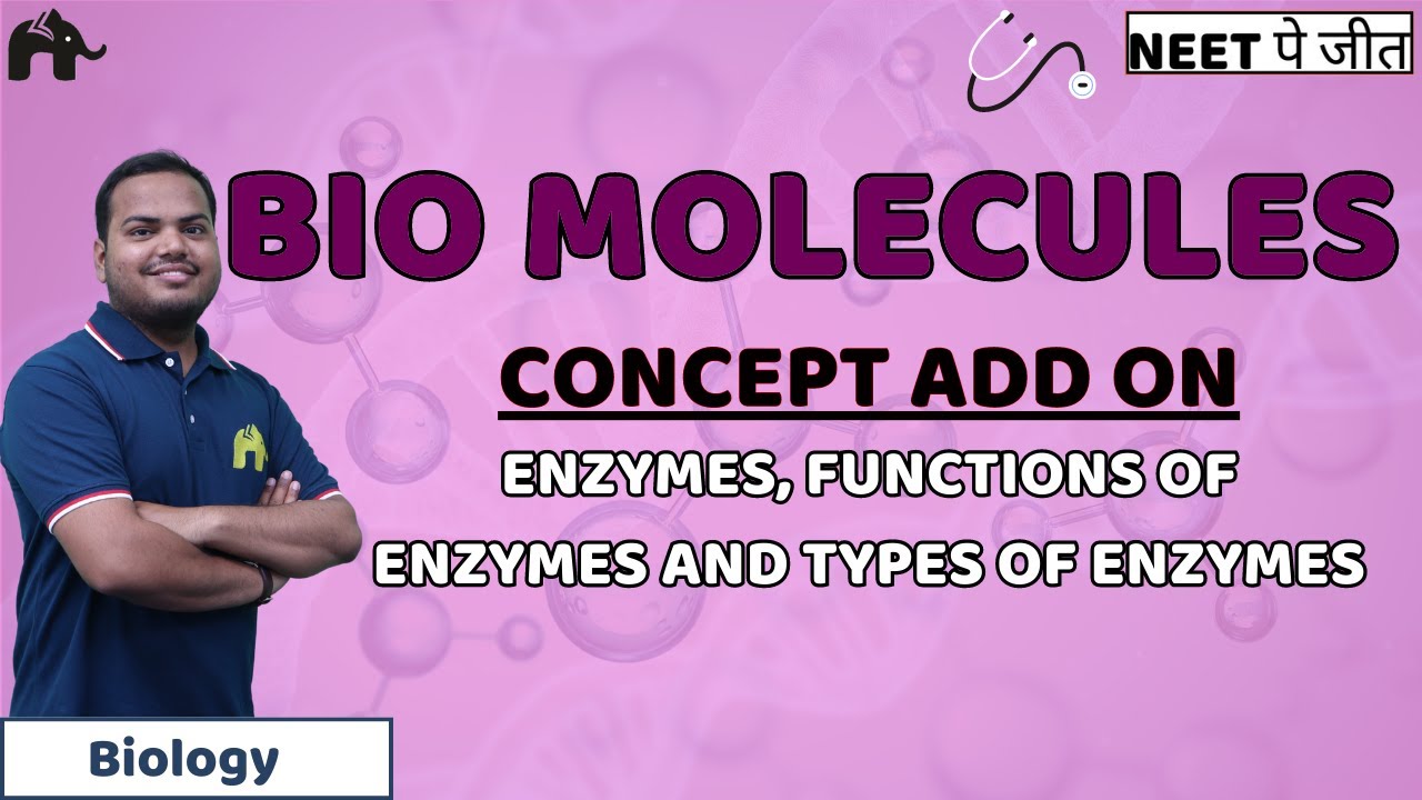 Biomolecules Class 11 Biology NEET | Enzymes - Classification, Nomenclature, Function & Types