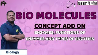 Biomolecules Class 11 Biology NEET | Enzymes - Classification, Nomenclature, Function & Types
