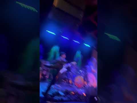 Wheeland Brothers 8/20/25 Felton Music Hall Santa Cruz CA #reggae #beachreggae #guitar #jam #rock