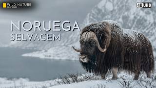 COMO OS ANIMAIS SOBREVIVEM AO INVERNO IMPLACÁVEL DA NORUEGA | Documentário Animal