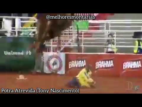 POTRA ATREVIDA DO TONY NASCIMENTO