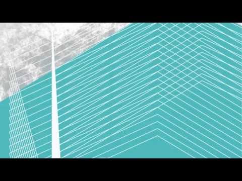 PLAISIR Records 1st release / ZENDID - Wood Lesty EP (including VID Reconstruction Mix)