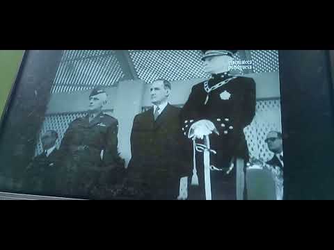 TIGRAO  NOVO REPARTIMENTO