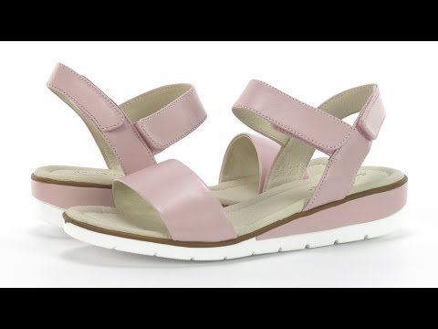 Women's David Tate Scala | 6pm