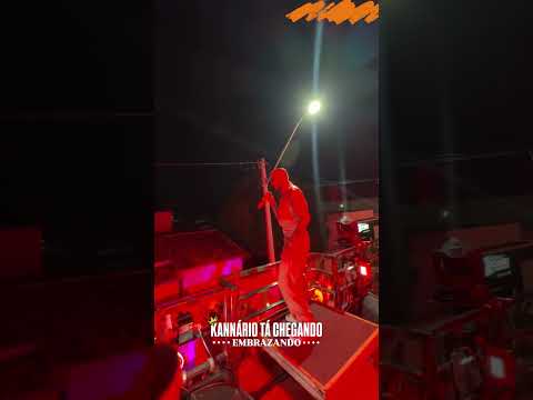 EMBRAZANDO! Igor Kannario sacudindo tudo em Dom Basílio Bahia 🔥✨