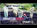 Darse Quran Surah Ar Room 30 39 What Is Riba Part 1 Allama Syed Abdullah Tariq