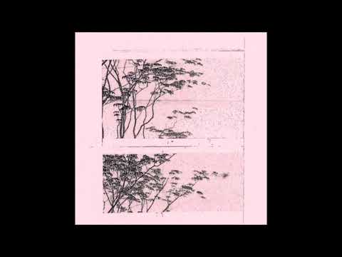 Angelo Harmsworth - Eucalyptus I [Vienna Press]