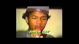 Junior Cat - Drugs White