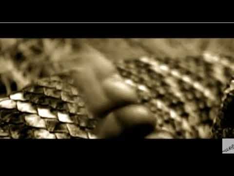 Nyno , jean de la craiova BENNY ESTI CA UN SARPE