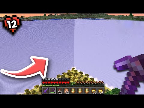 Why I Built the Biggest Staircase in Minecraft...