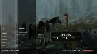 Ultimate Follower Overhaul on Skyrim SE | Using just for the horses!