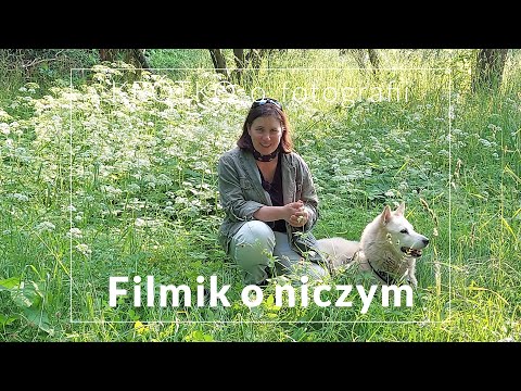 Filmik o niczym - KRÓTKO o fotografii