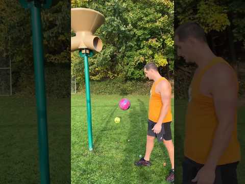 The Most Viral Videos of the Year!